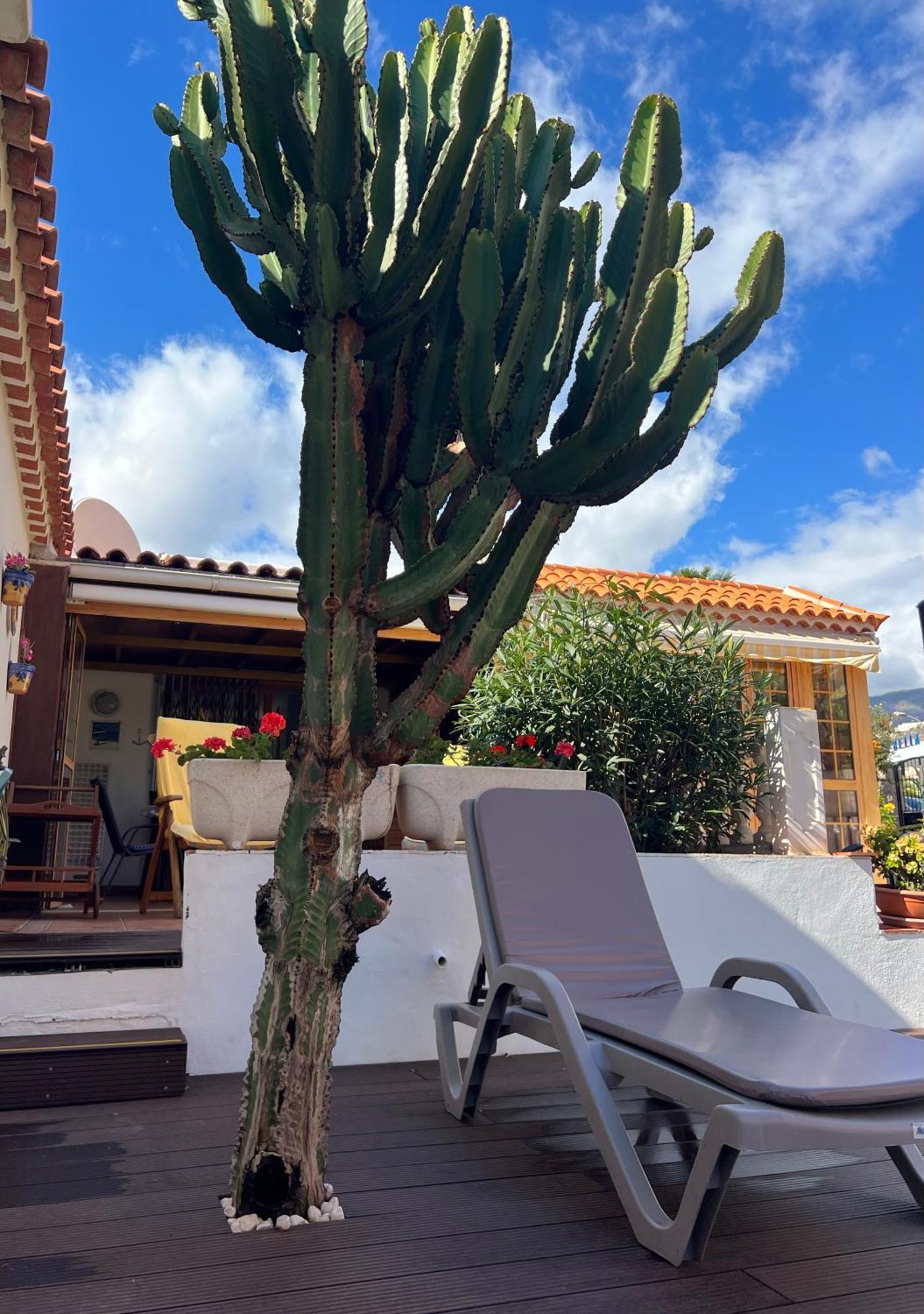 Cactus'S House, 150 M Beach, 1 Bdr, 4 Guests, Wifi, Netflix, Costa Adeje  Luaran gambar